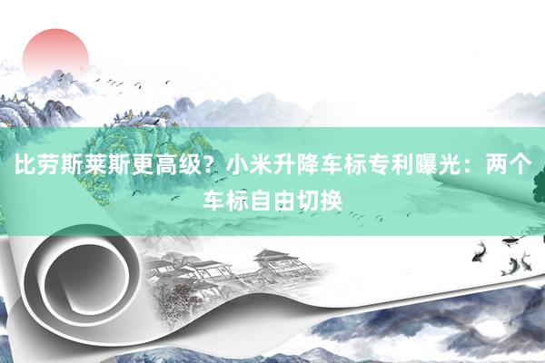比劳斯莱斯更高级？小米升降车标专利曝光：两个车标自由切换