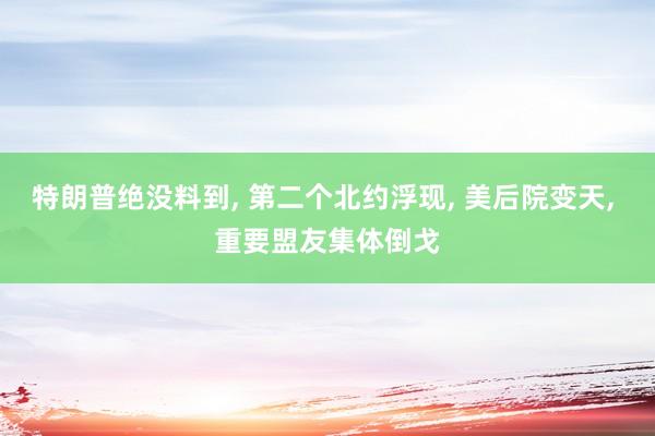 特朗普绝没料到, 第二个北约浮现, 美后院变天, 重要盟友集体倒戈