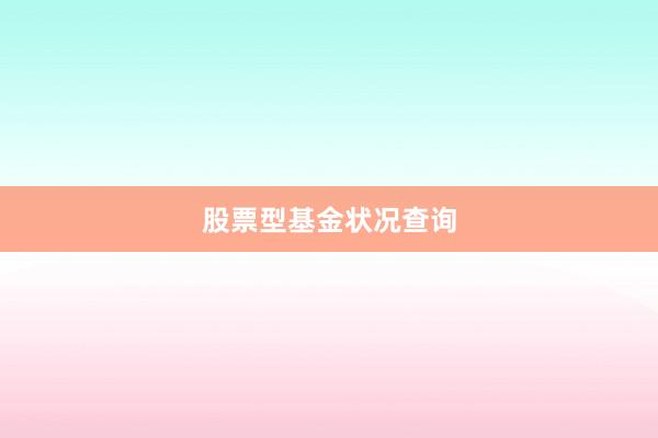 股票型基金状况查询