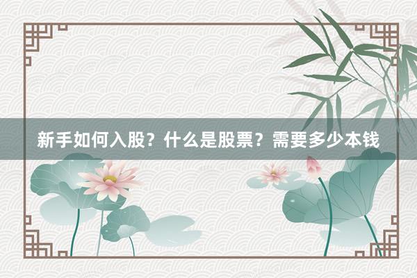 新手如何入股？什么是股票？需要多少本钱