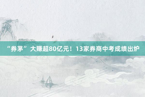 “券茅” 大赚超80亿元！13家券商中考成绩出炉