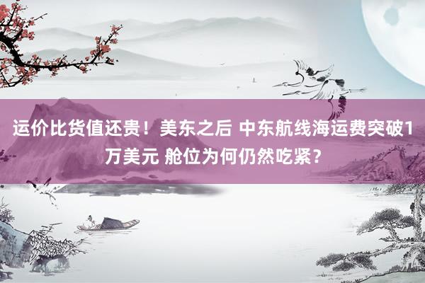 运价比货值还贵！美东之后 中东航线海运费突破1万美元 舱位为何仍然吃紧？