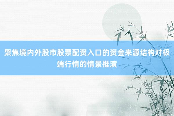 聚焦境内外股市股票配资入口的资金来源结构对极端行情的情景推演