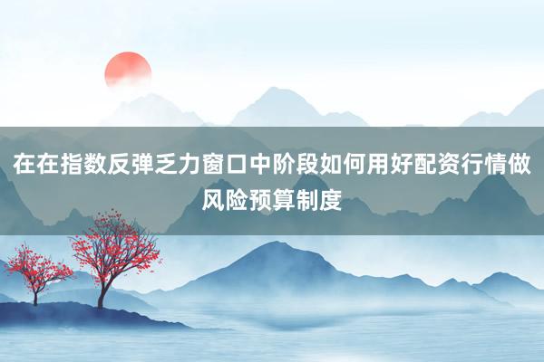在在指数反弹乏力窗口中阶段如何用好配资行情做风险预算制度
