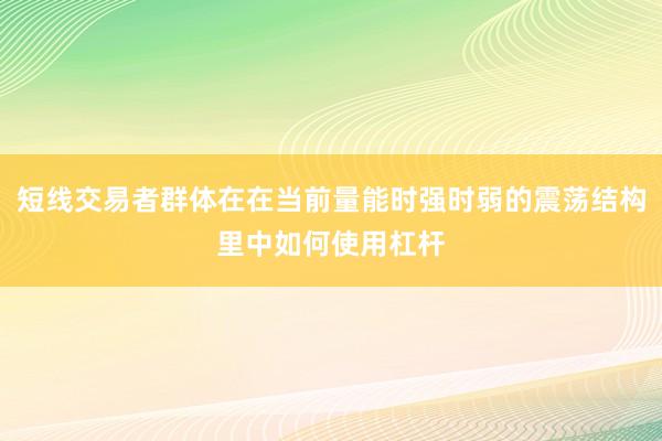 短线交易者群体在在当前量能时强时弱的震荡结构里中如何使用杠杆