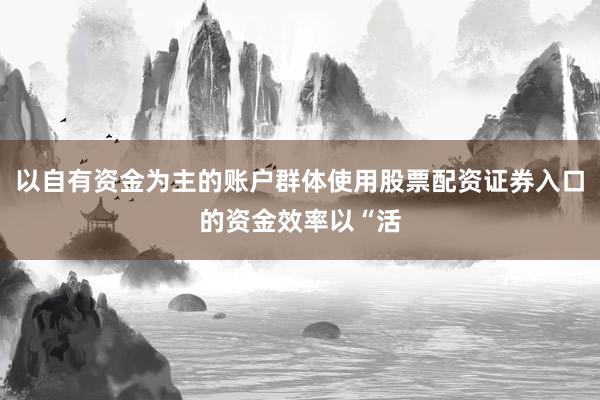 以自有资金为主的账户群体使用股票配资证券入口的资金效率以“活