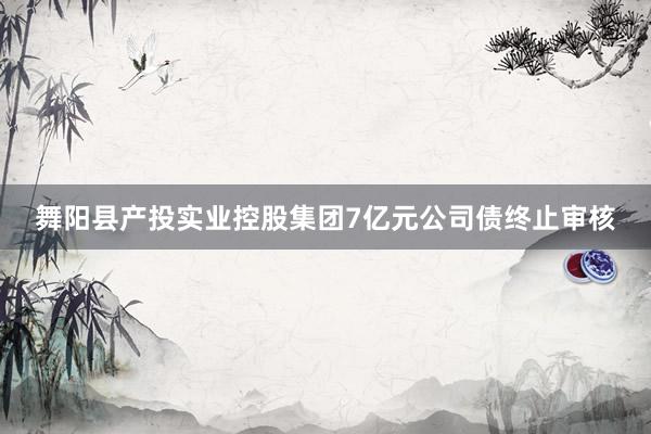 舞阳县产投实业控股集团7亿元公司债终止审核
