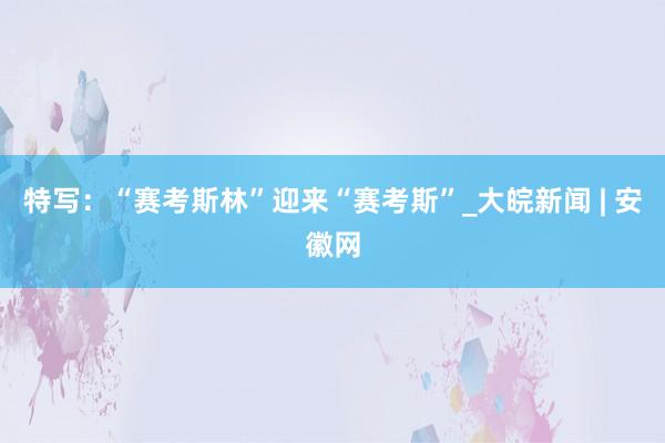 特写：“赛考斯林”迎来“赛考斯”_大皖新闻 | 安徽网