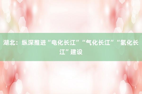 湖北：纵深推进“电化长江”“气化长江”“氢化长江”建设