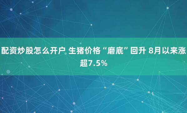 配资炒股怎么开户 生猪价格“磨底”回升 8月以来涨超7.5%