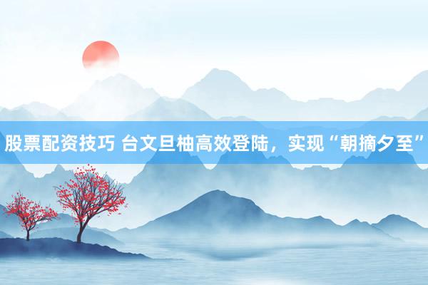 股票配资技巧 台文旦柚高效登陆，实现“朝摘夕至”