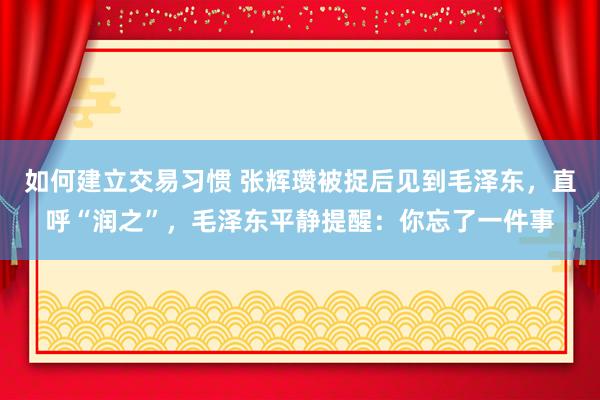 如何建立交易习惯 张辉瓒被捉后见到毛泽东，直呼“润之”，毛泽东平静提醒：你忘了一件事